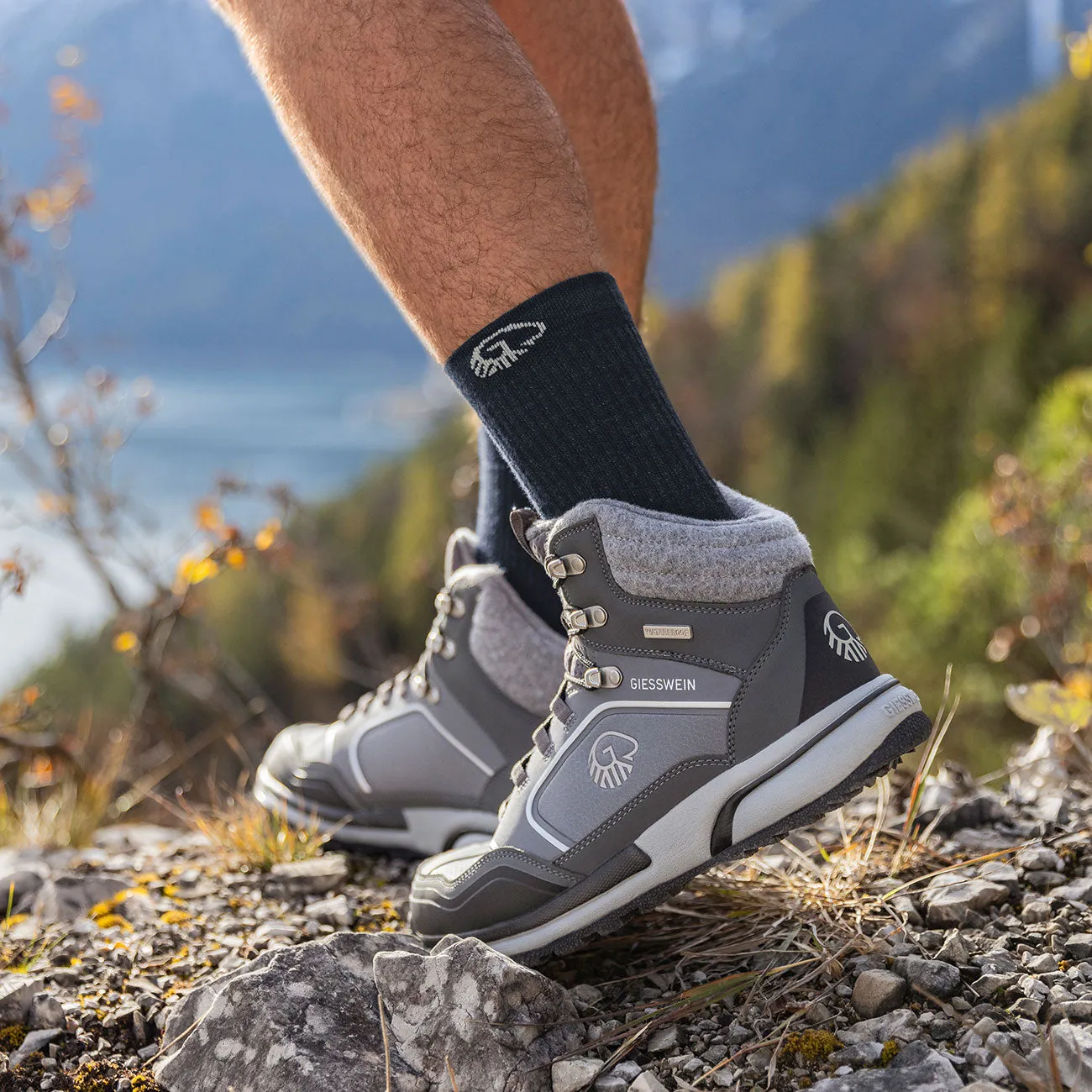 Merino Hiking Socks (3-pack) thick pad