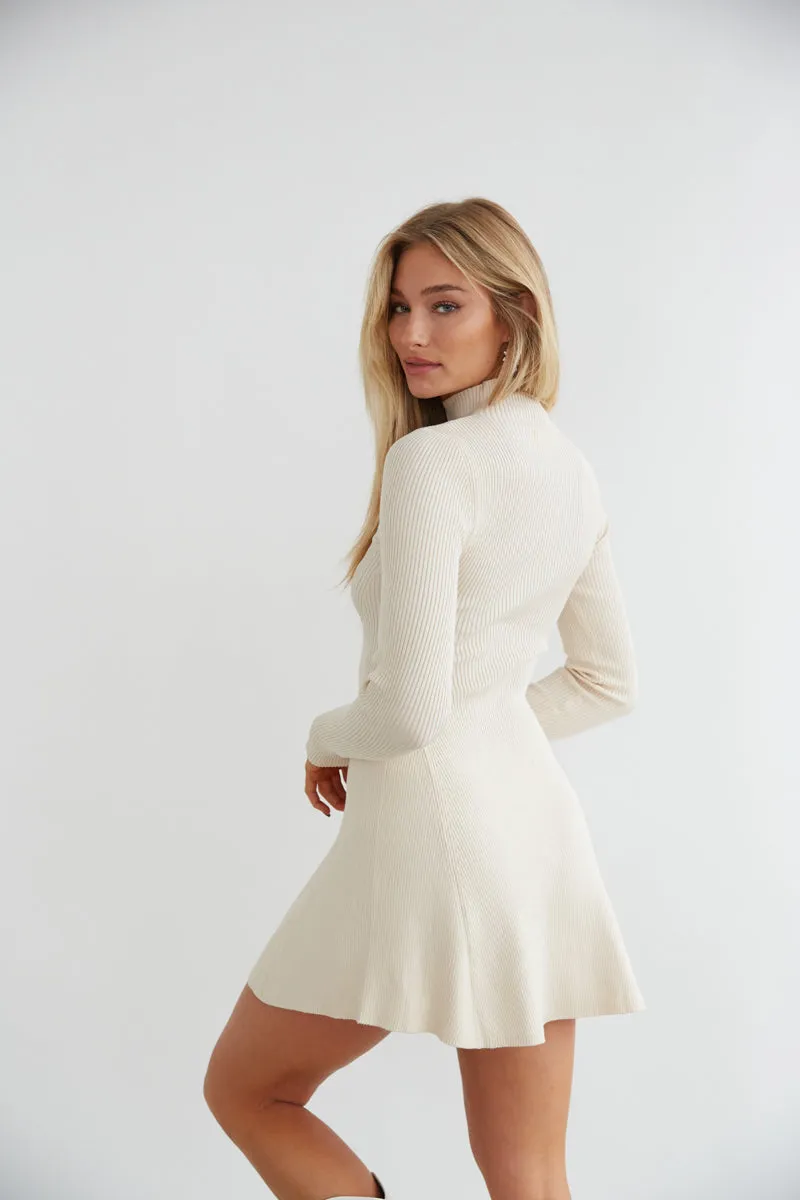 Millie Knit Long Sleeve Turtleneck Skater Mini Dress minimal shape