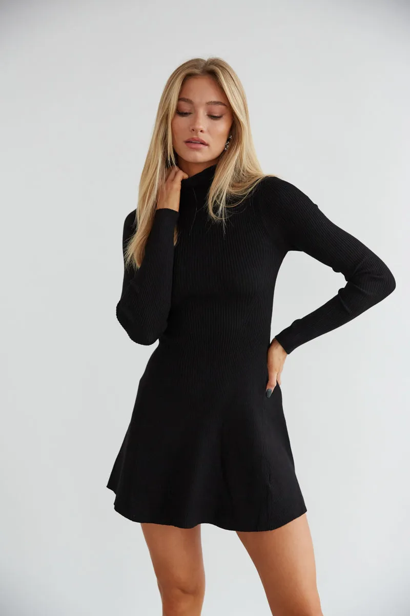 Millie Knit Long Sleeve Turtleneck Skater Mini Dress minimal shape